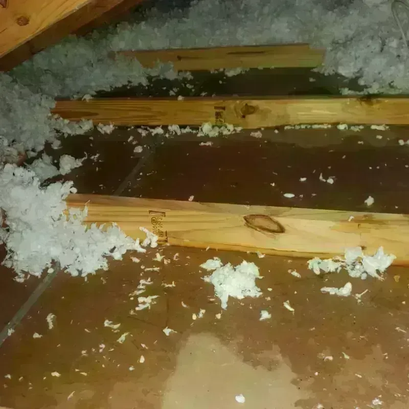 Attic Water Damage in Bent Creek, NC